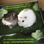 11049604_880317082017883_7756288600503138493_n