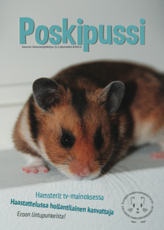 Näyttökuva 2017-02-16 kello 15.28.07