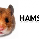 hamsteripuoti
